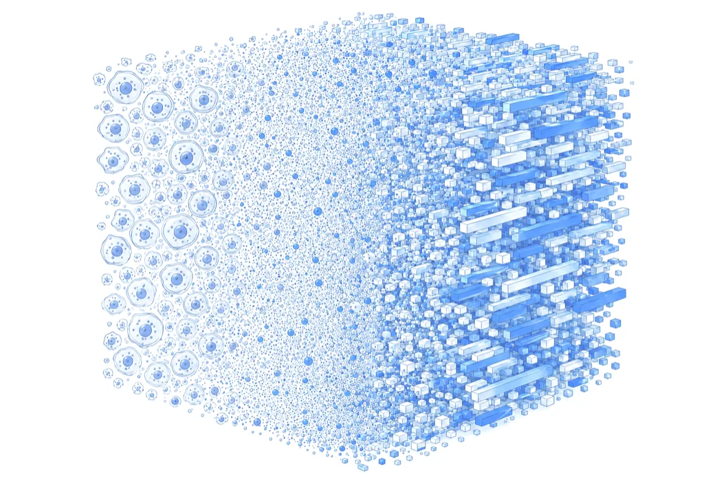 B-cells resolving into a spatial transcriptomics dot map