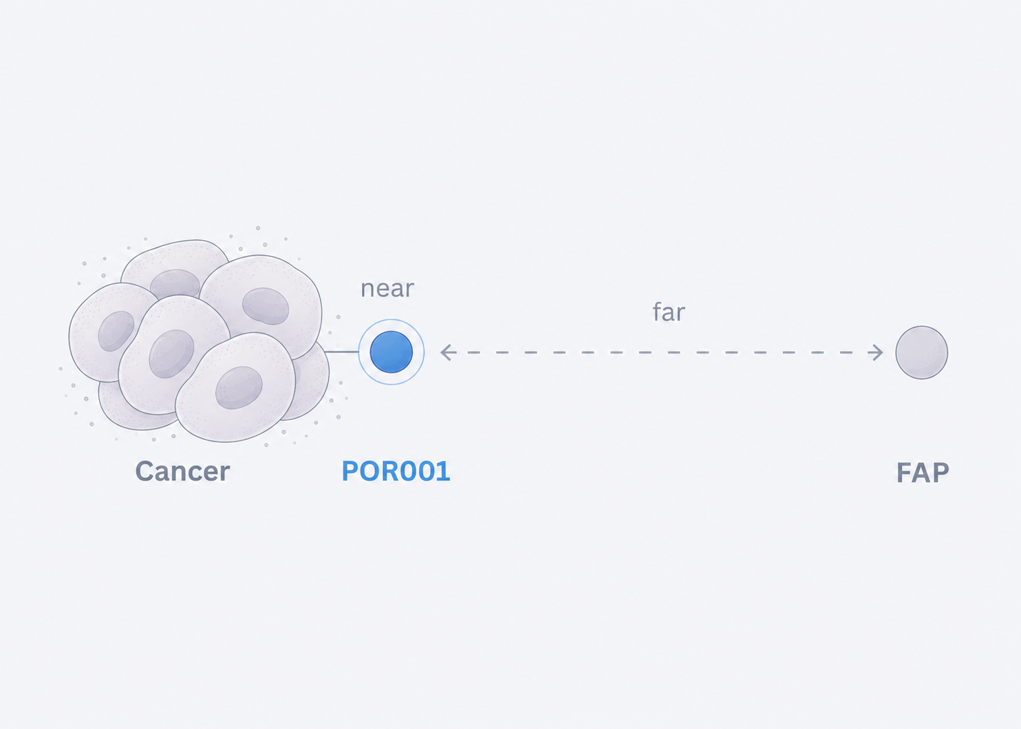 POR001 target concept
