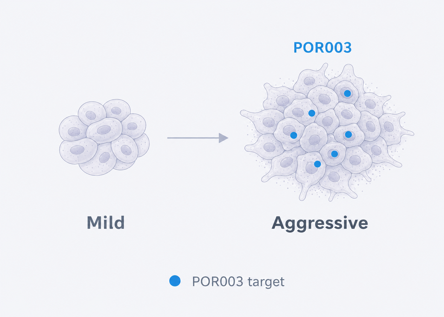POR003 target concept